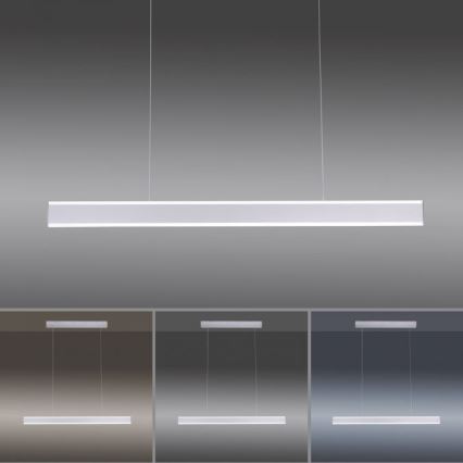 Paul Neuhaus 8363-55 - LED Dimmable  κρεμαστό φωτιστικό οροφής ράγα με αισθητήρα ARINA LED/20W/230V