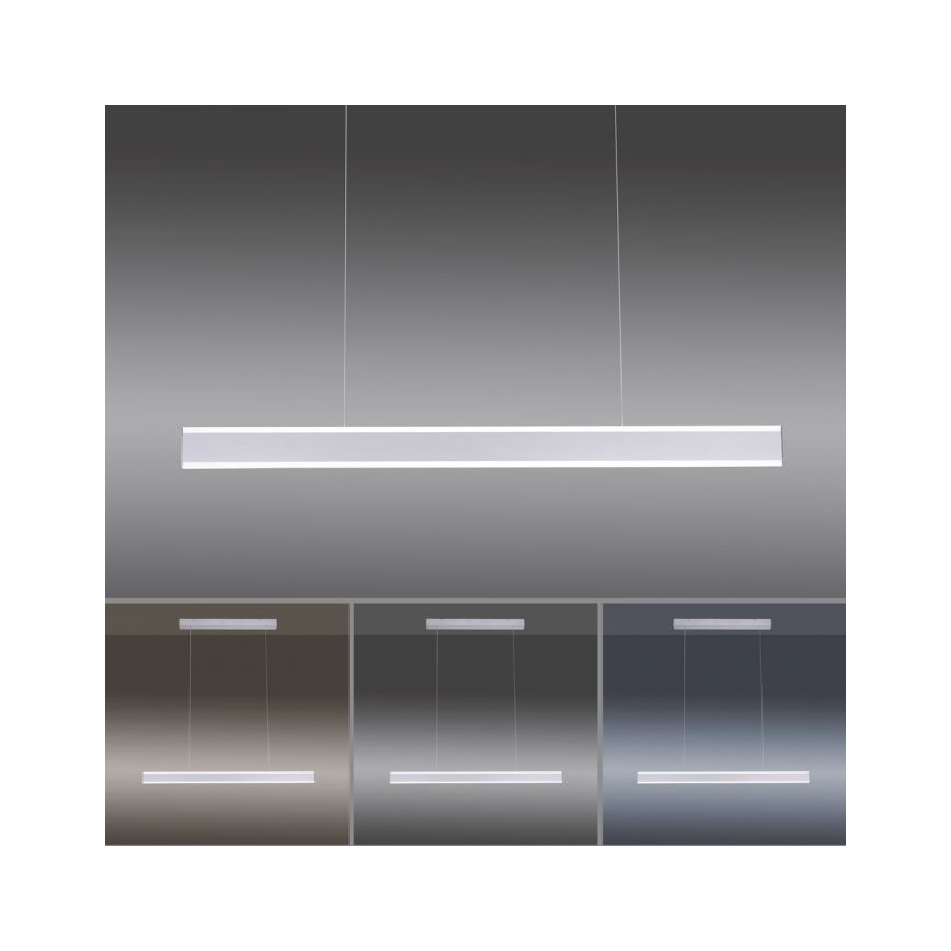 Paul Neuhaus 8363-55 - LED Dimmable  κρεμαστό φωτιστικό οροφής ράγα με αισθητήρα ARINA LED/20W/230V