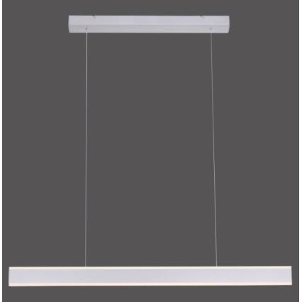 Paul Neuhaus 8363-55 - LED Dimmable  κρεμαστό φωτιστικό οροφής ράγα με αισθητήρα ARINA LED/20W/230V