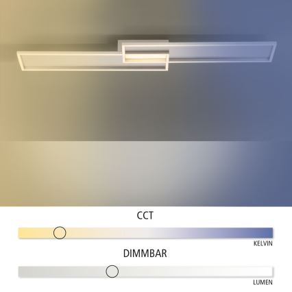 Paul Neuhaus 8371-55 - Φως οροφής dimmer LED AMARA LED/40W/230V + τηλεχειριστήριο