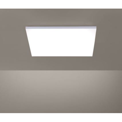 Paul Neuhaus 8492-16 - Πάνελ απλίκα Dimmable LED FRAMELESS LED/35W/230V + τηλεχειριστήριο