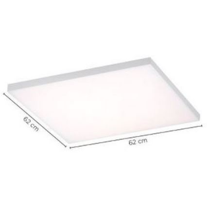 Paul Neuhaus 8492-16 - Πάνελ απλίκα Dimmable LED FRAMELESS LED/35W/230V + τηλεχειριστήριο