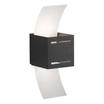 Paul Neuhaus 9007-13 - Φωτιστικό τοίχου ORMA 1xG9/40W/230V μαύρο