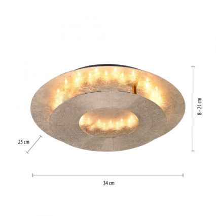 Paul Neuhaus 9011-12 - LED Φωτιστικό οροφής NEVIS LED/6W/230V χρυσό