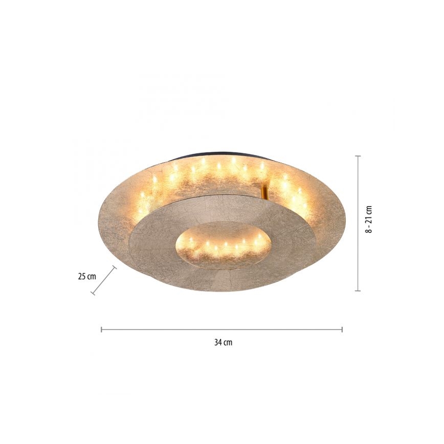 Paul Neuhaus 9011-12 - LED Φωτιστικό οροφής NEVIS LED/6W/230V χρυσό