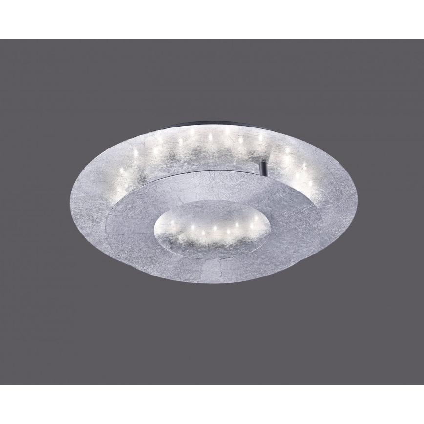 Paul Neuhaus 9011-21 - LED Φωτιστικό οροφής NEVIS LED/6W/230V ασημί