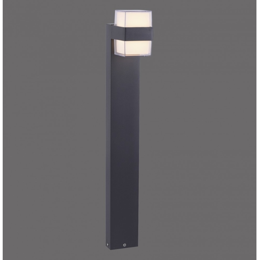 Paul Neuhaus 9481-13 - LED Λάμπα εξωτερικού χώρου CARA LED/8W/230V IP44