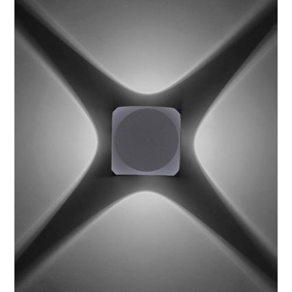 Paul Neuhaus 9485-21 - Εξωτερικό φωτιστικό τοίχου LED CARLO 4xLED/0,8W/230V IP54