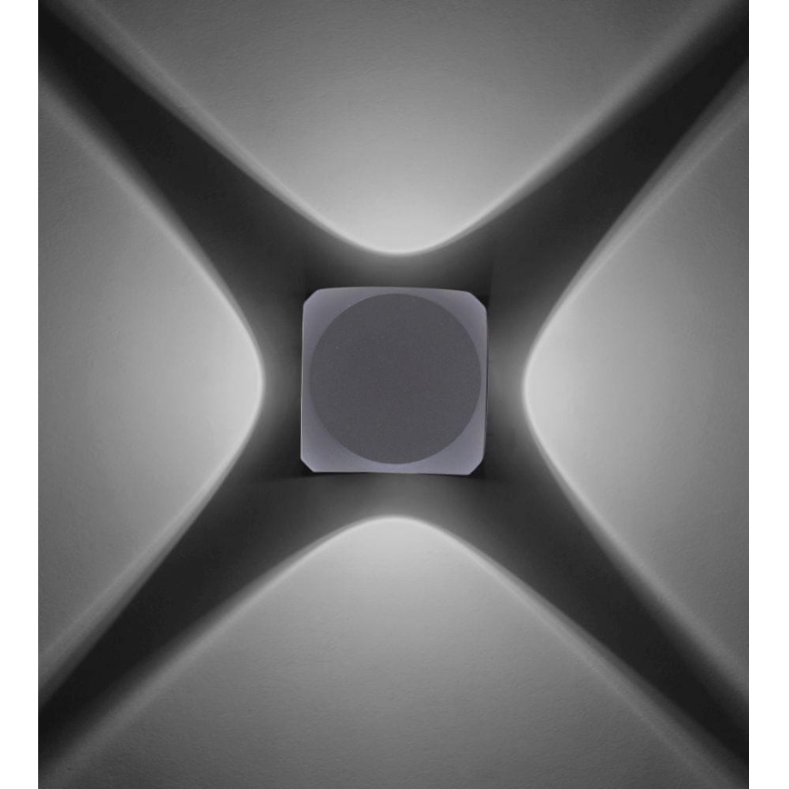 Paul Neuhaus 9485-21 - Εξωτερικό φωτιστικό τοίχου LED CARLO 4xLED/0,8W/230V IP54
