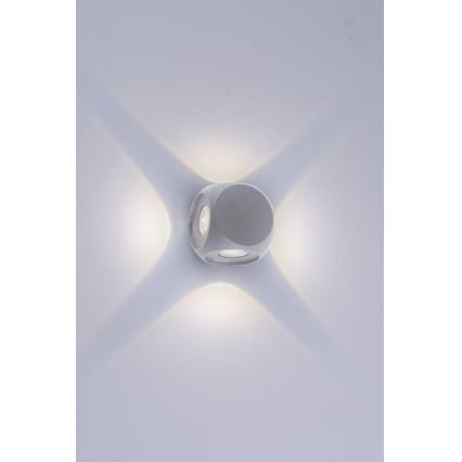 Paul Neuhaus 9485-21 - Εξωτερικό φωτιστικό τοίχου LED CARLO 4xLED/0,8W/230V IP54