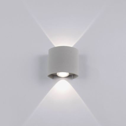 Paul Neuhaus 9486-21 - LED Εξωτερικό φωτιστικό τοίχου CARLO 2xLED/1,7W/230V IP54