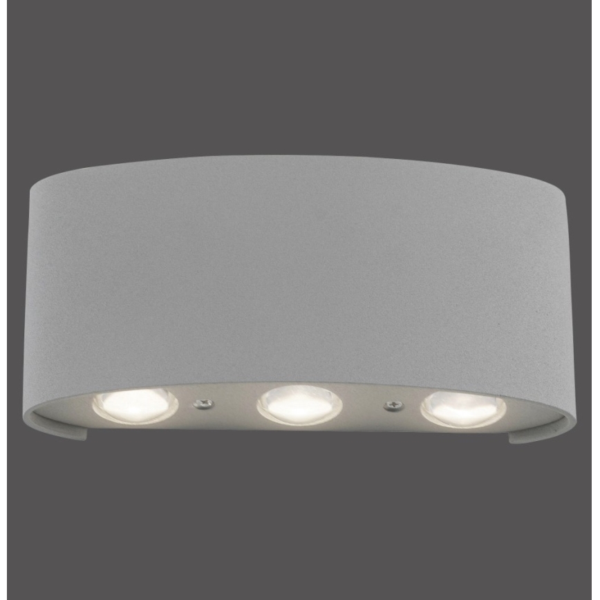 Paul Neuhaus 9488-21 - LED Εξωτερικό φωτιστικό τοίχου CARLO 6xLED/0,8W/230V IP54