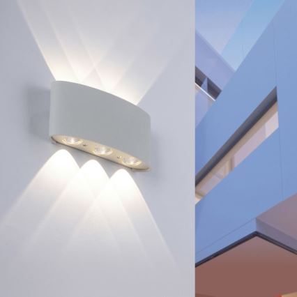 Paul Neuhaus 9488-21 - LED Εξωτερικό φωτιστικό τοίχου CARLO 6xLED/0,8W/230V IP54
