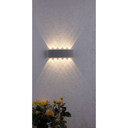 Paul Neuhaus 9489-21- LED Εξωτερικό φωτιστικό τοίχου CARLO 10xLED/0,8W/230V IP54