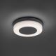 Paul Neuhaus 9490-13 - Φωτιστικό LED εξωτερικού χώρου FABIAN LED/12,6W/230V IP54