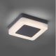 Paul Neuhaus 9491-13 - Φωτιστικό LED εξωτερικού χώρου FABIAN LED/12,6W/230V IP54
