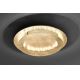 Paul Neuhaus 9621-12 - LED Φωτιστικό οροφής NEVIS LED/24W/230V