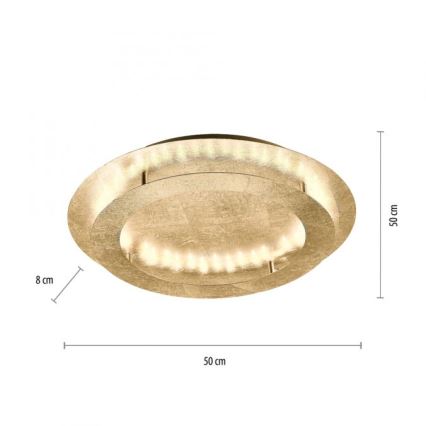Paul Neuhaus 9621-12 - LED Φωτιστικό οροφής NEVIS LED/24W/230V