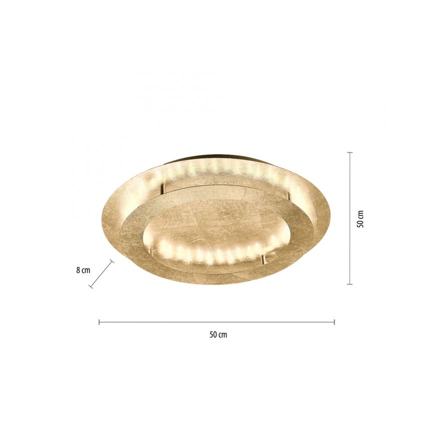 Paul Neuhaus 9621-12 - LED Φωτιστικό οροφής NEVIS LED/24W/230V