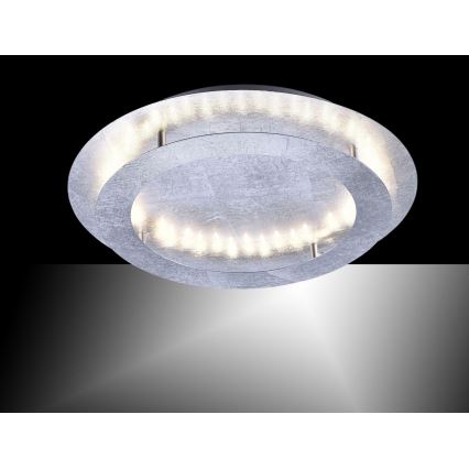 Paul Neuhaus 9621-21 - LED Φωτιστικό οροφής NEVIS LED/24W/230V