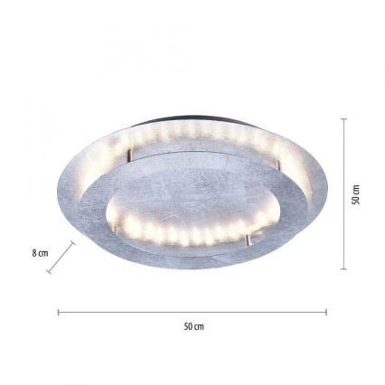 Paul Neuhaus 9621-21 - LED Φωτιστικό οροφής NEVIS LED/24W/230V
