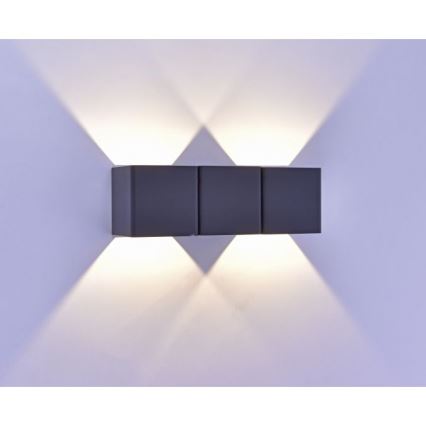 Paul Neuhaus 9658-13 - LED Εξωτερικό φωτιστικό τοίχου MARCEL 2xLED/4W/230V IP54