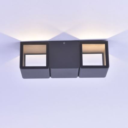 Paul Neuhaus 9658-13 - LED Εξωτερικό φωτιστικό τοίχου MARCEL 2xLED/4W/230V IP54