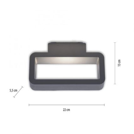 Paul Neuhaus 9668-13 - Φωτιστικό τοίχου LED εξωτερικού χώρου HENDRIK LED/5,2W/230V IP54