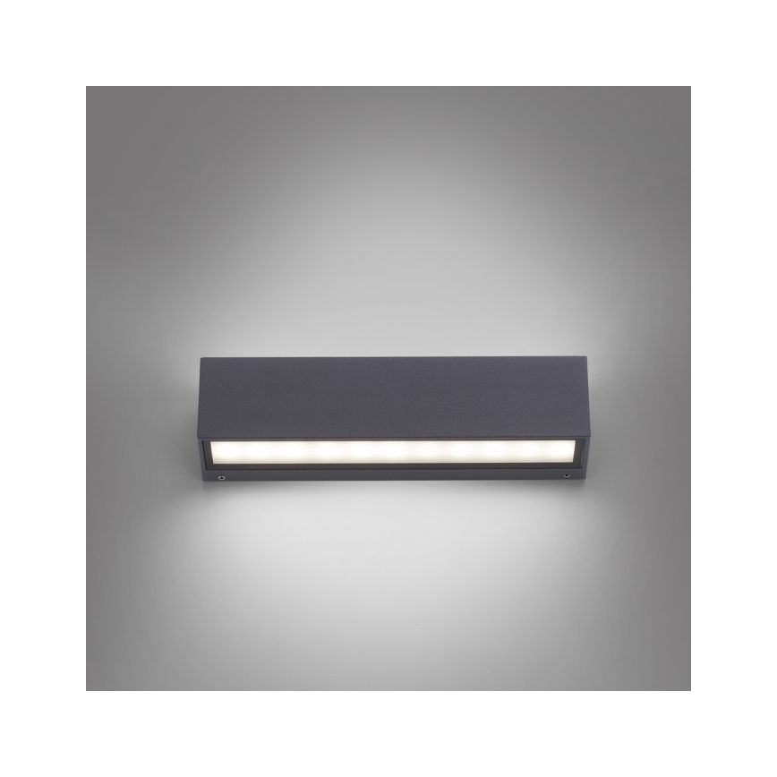 Paul Neuhaus 9675-13 - Εξωτερικό φωτιστικό τοίχου LED ROBERT 2xLED/9W/230V IP65