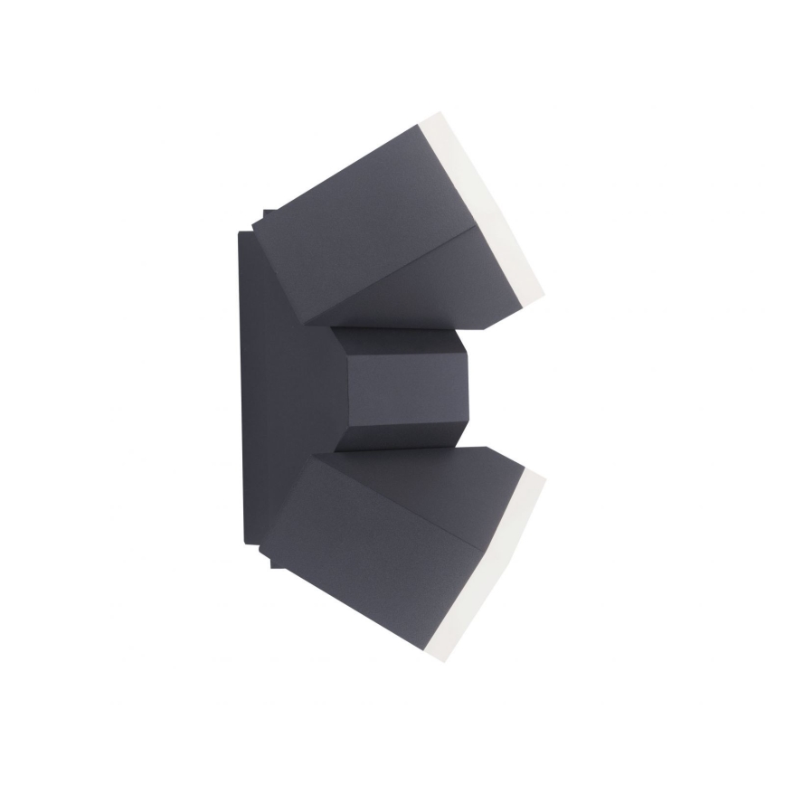 Paul Neuhaus 9722-13 - LED φωτιστικό τοίχου εξωτερικού χώρου RYAN 2xLED/5W/230V IP54