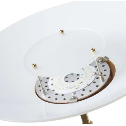 Paul Neuhaus - LED Dimmable επιδαπέδια λάμπα ALFRED 1xLED/28W/230V + 1xLED/4W/230V