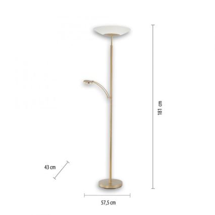 Paul Neuhaus - LED Dimmable επιδαπέδια λάμπα ALFRED 1xLED/28W/230V + 1xLED/4W/230V