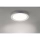 Paul Neuhaus 16480-17 - LED RGB Φωτιστικό οροφής μπάνιου DS-LARS LED/28W/230V IP44 + τηλεχειριστήριο