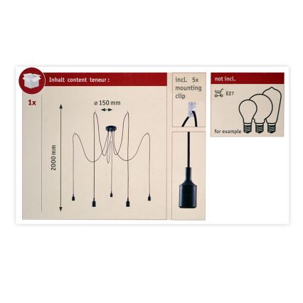 Paulmann 50389 - Κρεμαστό φωτιστικό οροφής NEORDIC 5xE27/20W/230V spider