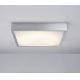 Paulmann 70024 - Φως οροφής BOUND 1x2GX13/40W/230V