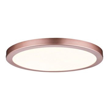 Paulmann 70872 - LED/22W Πάνελ dimming ATRIA 230V 2700K διάμετρος 30 cm Ροζ χρυσό