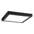 Paulmann 70985 - Φωτιστικό οροφής LED/22W ABIA 230V