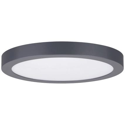 Paulmann 70988 - LED/22W Φωτιστικό οροφής ABIA 230V ανθρακί