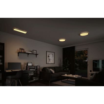 Paulmann 71003 - LED/22W Πάνελ dimming ATRIA 230V 3000K 20x58 cm μαύρο