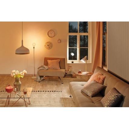 Paulmann 79615 - 1xE27/20W Βάση λάμπας NORDIN 230V