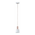 Paulmann 79656 - 1xE14/20W   Κρεμαστό φωτιστικό οροφής NEORDIC HALDAR 230V