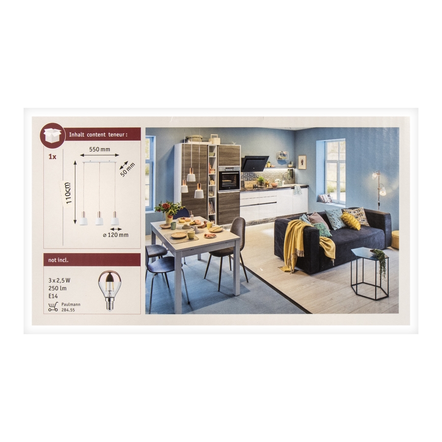 Paulmann 79657 - 3xE14/20W Πολύφωτο με συρματόσχοινο NEORDIC HALDAR 230V