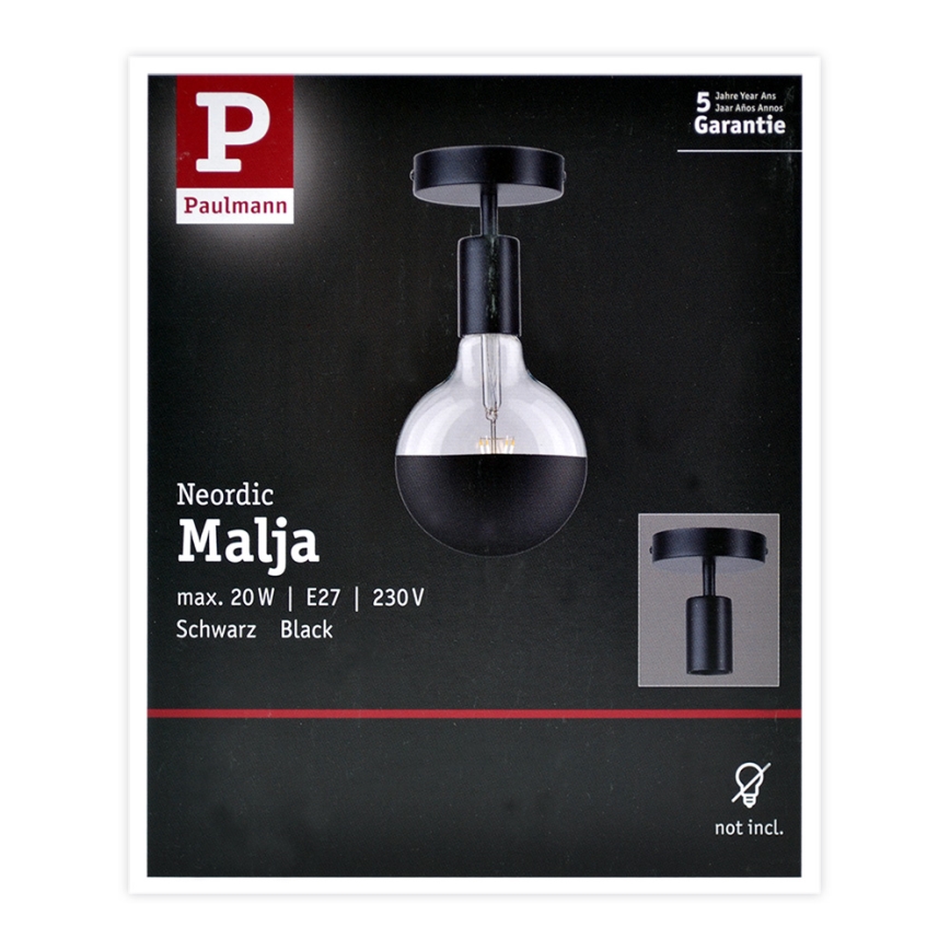 Paulmann 79760 - Φως οροφής HALDOR 1xE27/20W/230V