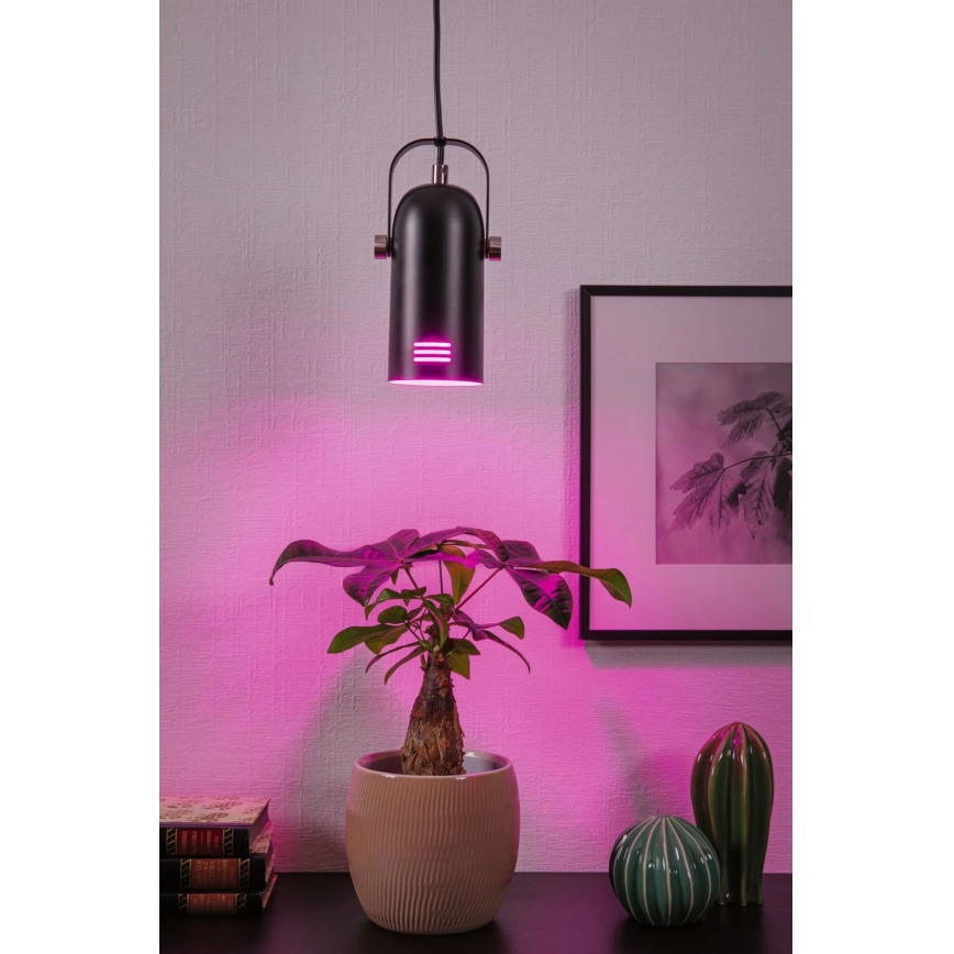 Paulmann 79766 - LED RGBW 1xE27/9W Κρεμαστό φωτιστικό με καλώδιο LAVEA 230V μαύρο