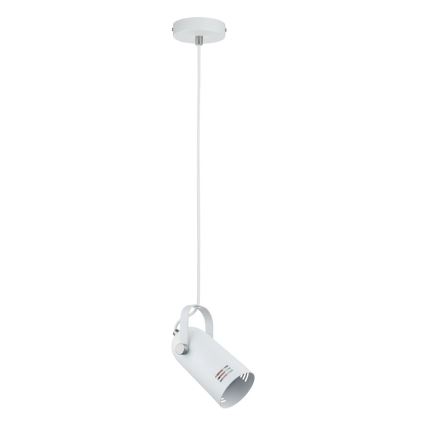 Paulmann 79767 - LED RGBW 1xE27/12W Κρεμαστό φωτιστικό με καλώδιο LAVEA 230V λευκό