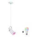 Paulmann 79767 - LED RGBW 1xE27/9W Κρεμαστό φωτιστικό με καλώδιο LAVEA 230V λευκό