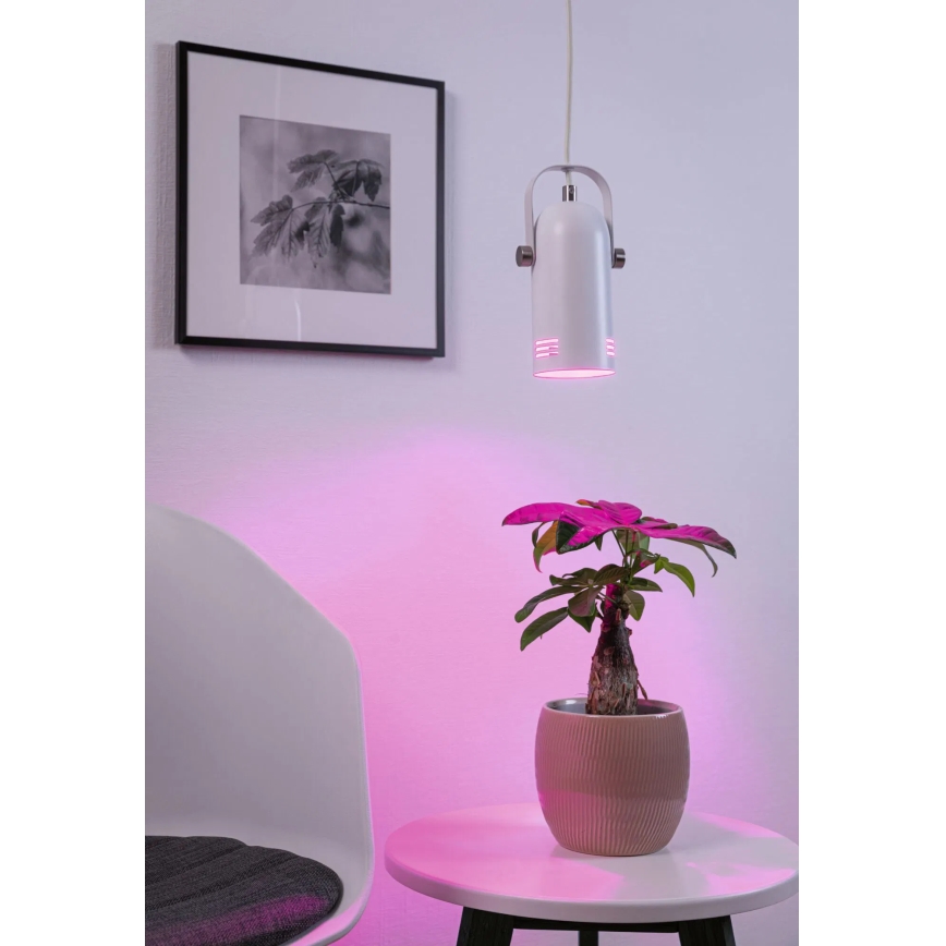 Paulmann 79767 - LED RGBW 1xE27/9W Κρεμαστό φωτιστικό με καλώδιο LAVEA 230V λευκό