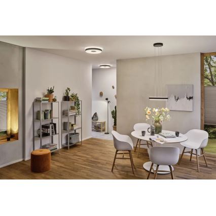 Paulmann 79775 - 2xLED/3W Επιδαπέδια λάμπα dimming PURIK PANE 230V