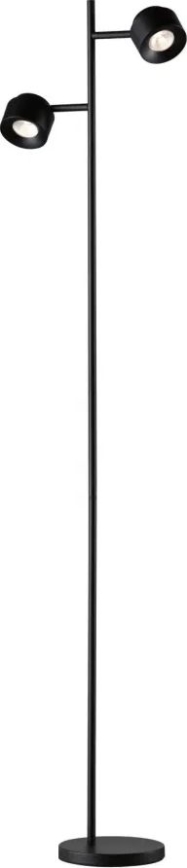 Paulmann 79775 - 2xLED/3W Επιδαπέδια λάμπα dimming PURIK PANE 230V