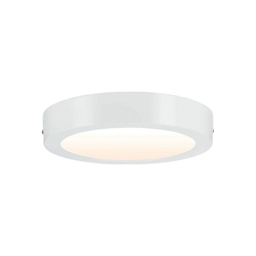 Paulmann 79795 - Φωτιστικό οροφής LED/13W CARPO 230V 2300/2500/3000K